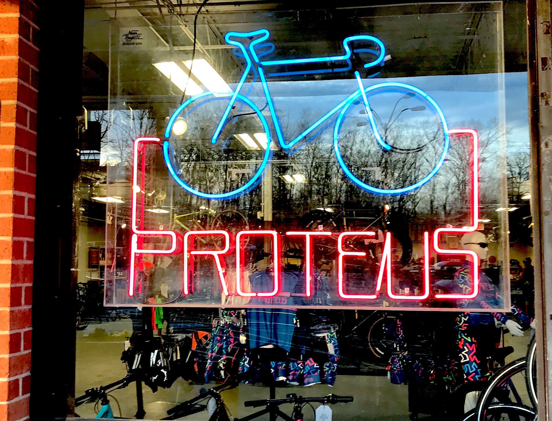 proteus bikes